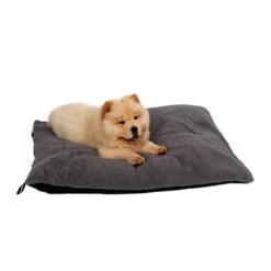 51 Degrees North Sheep Hundekissen 11 51 Degrees North Sheep Hundekissen -Heimtierbedarf Geschäft 51 degrees north sheep hondenkussen 141479 0500 none