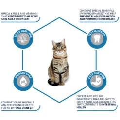 Affinity Advance Adult Huhn & Reis - Katze -Heimtierbedarf Geschäft affinity advance adult kip en rijst kat 178249 0500 none