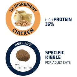 Affinity Advance Adult Huhn & Reis - Katze -Heimtierbedarf Geschäft affinity advance adult kip en rijst kat 178252 0500 none