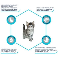 Affinity Advance Kitten Huhn Und Reis -Heimtierbedarf Geschäft affinity advance kitten kip en rijst kat 178231 0500 none