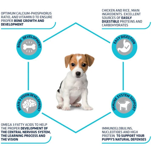 Affinity Advance Puppy Protect Mini 4 Affinity Advance Puppy Protect Mini – Bild 2