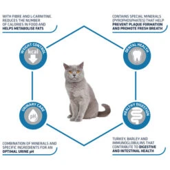 Affinity Advance Sterilized Pute - Katze 10 Affinity Advance Sterilized Pute - Katze -Heimtierbedarf Geschäft affinity advance sterilized kalkoen kat 178201 0500 none