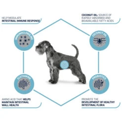 Affinity Advance Veterinary Diets Gastroenteric Hund -Heimtierbedarf Geschäft affinity advance veterinary diets gastroenteric hond 177655 0500 none