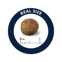 Affinity Advance Veterinary Diets Gastroenteric Hund -Heimtierbedarf Geschäft affinity advance veterinary diets gastroenteric hond 177679 0500 none