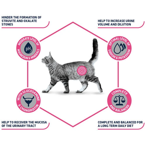 Affinity Advance Veterinary Diets Urinary Katze 11 Affinity Advance Veterinary Diets Urinary Katze – Bild 9