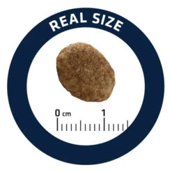 Affinity Advance Veterinary Diets Urinary Katze 20 Affinity Advance Veterinary Diets Urinary Katze -Heimtierbedarf Geschäft affinity advance veterinary diets urinary kat 176911 0500 none