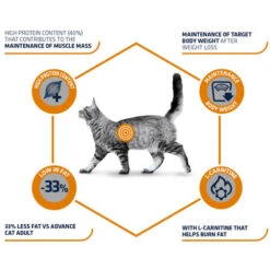 Affinity Advance Veterinary Diets Weight Balance Katze -Heimtierbedarf Geschäft affinity advance veterinary diets weight balance kat 178093 0500 none