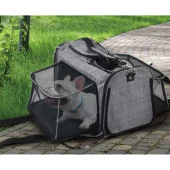 AFP Travel Dog - Hundetransportbox Mit Rollen -Heimtierbedarf Geschäft afp travel dog rolling pet carrier 213521 0500 none