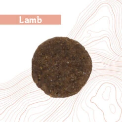 Antelope Fresh Adult Hundefutter -Heimtierbedarf Geschäft antelope fresh adult hondenvoer 219963 0500 none