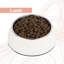 Antelope Fresh Adult Hundefutter -Heimtierbedarf Geschäft antelope fresh adult hondenvoer 219964 0500 none