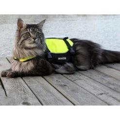 Baltic Katzen-Schwimmweste Maja 7 Baltic Katzen-Schwimmweste Maja -Heimtierbedarf Geschäft baltic kattenzwemvest maja 178984 0500 none