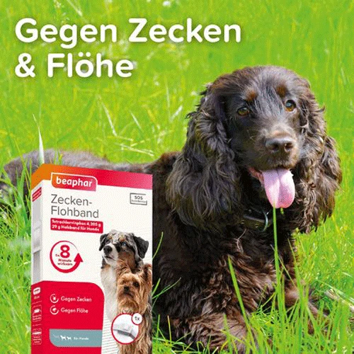 Beaphar Flöhe- Und Zekenband Hund 4 Beaphar Flöhe- Und Zekenband Hund – Bild 2