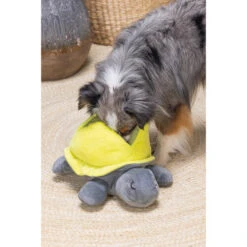 Beeztees Hide And Seek Schildo -Heimtierbedarf Geschäft beeztees hide and seek schildo 221788 0500 none