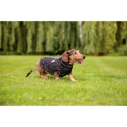 Beeztees Hundepullover Celia 11 Beeztees Hundepullover Celia -Heimtierbedarf Geschäft beeztees hondentrui celia 219140 0500 none