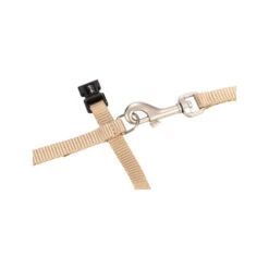 Beeztees Nylon Katzengeschirr Uni - Beige -Heimtierbedarf Geschäft beeztees nylon kattentuig uni beige 186637 0500 none