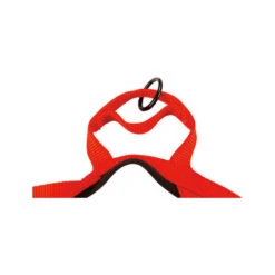 Beeztees Parinca Premium Comfort Hundegeschirr -Heimtierbedarf Geschäft beeztees parinca premium comfort hondentuig 198554 0500 none