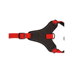 Beeztees Parinca Premium Y-Geschirr -Heimtierbedarf Geschäft beeztees parinca premium y tuig 199589 0500 none