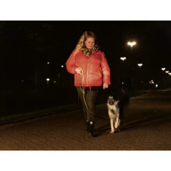 Beeztees Safety Gear Parinca Premium Halsband 17 Beeztees Safety Gear Parinca Premium Halsband -Heimtierbedarf Geschäft beeztees safety gear parinca premium halsband 215009 0500 none