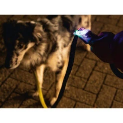 Beeztees Safety Gear Parinca Premium Hundeleine -Heimtierbedarf Geschäft beeztees safety gear parinca premium hondenriem 215036 0500 none