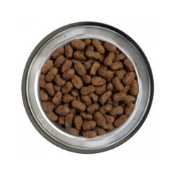 Belcando Adult Getreidefreies Hundefutter 19 Belcando Adult Getreidefreies Hundefutter -Heimtierbedarf Geschäft belcando adult graanvrij 217774 0500 none