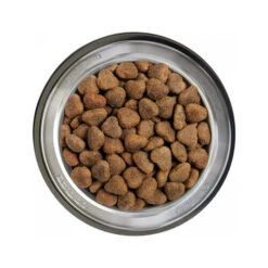 Belcando Adult Getreidefreies Hundefutter 18 Belcando Adult Getreidefreies Hundefutter -Heimtierbedarf Geschäft belcando adult graanvrij 217776 0500 none
