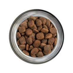 Belcando Adult Getreidefreies Hundefutter 16 Belcando Adult Getreidefreies Hundefutter -Heimtierbedarf Geschäft belcando adult graanvrij 217780 0500 none