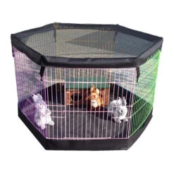 Boon Nagetier- & Kaninchen-Freilaufgehege -Heimtierbedarf Geschäft boon knaagdieren konijnenren 130808 0500 none