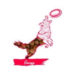 Calibra Dog Expert Nutrition Energy 7 Calibra Dog Expert Nutrition Energy -Heimtierbedarf Geschäft calibra dog expert nutrition energy 163534 0500 none