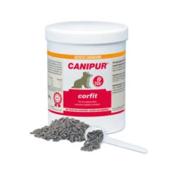 Canipur Corfit