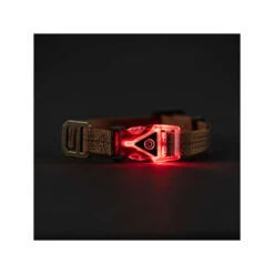 Heimtierbedarf Geschäft -Heimtierbedarf Geschäft carhartt lighted dog collar 187091 0500 none