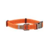 Carhartt Tradesman Hundehalsband 2 Carhartt Tradesman Hundehalsband -Heimtierbedarf Geschäft carhartt tradesman dog collar 186577 0500 none