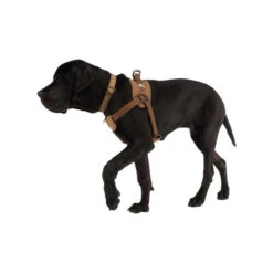 Carhartt Work Dog Harness -Heimtierbedarf Geschäft carhartt work dog harness 186805 0500 none
