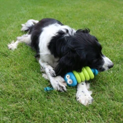 Coockoo Larry -Heimtierbedarf Geschäft coockoo larry 216712 0500 none