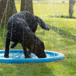 CoolPets Splash Pool Water Sprinkler -Heimtierbedarf Geschäft coolpets splash pool sproeier 174286 0500 none
