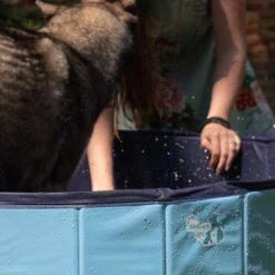 CoolPets Hundepool -Heimtierbedarf Geschäft coolpets zwembad 198134 0500 none