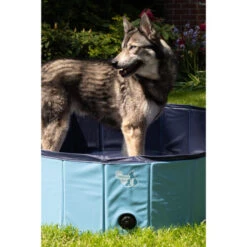 CoolPets Hundepool -Heimtierbedarf Geschäft coolpets zwembad 198140 0500 none