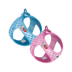 Curli Vest Harness Air-Mesh & Leash Puppy Set 17 Curli Vest Harness Air-Mesh & Leash Puppy Set -Heimtierbedarf Geschäft curli vest harness air mesh leash puppy set 221142 0500 none