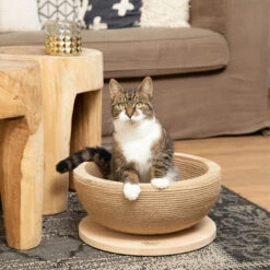 Designed By Lotte Kratzkorb Zaina -Heimtierbedarf Geschäft designed by lotte krabmand zaina 198045 0500 none