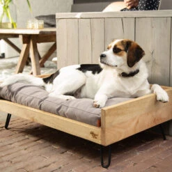 Designed By Lotte Hundebett Turana -Heimtierbedarf Geschäft designed by lotte ligmand turana 170029 0500 none