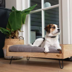 Designed By Lotte Hundebett Turana -Heimtierbedarf Geschäft designed by lotte ligmand turana 170032 0500 none