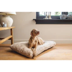 Designed By Lotte Xanti Hundekissen -Heimtierbedarf Geschäft designed by lotte xanti hondenkussen 188124 0500 none