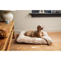 Designed By Lotte Xanti Hundekissen -Heimtierbedarf Geschäft designed by lotte xanti hondenkussen 188127 0500 none