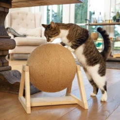 Designed By Lotte Xem Kratzkugel 5 Designed By Lotte Xem Kratzkugel -Heimtierbedarf Geschäft designed by lotte xem krabbol 164833 0500 none