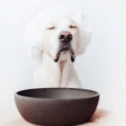 District 70 Bamboo Hundenapf 10 District 70 Bamboo Hundenapf -Heimtierbedarf Geschäft district 70 bamboo voerbak voor honden 207695 0500 none