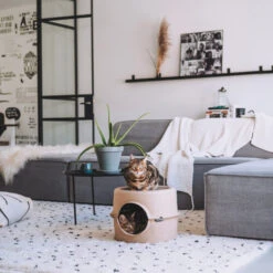 District 70 Bunker -Heimtierbedarf Geschäft district 70 bunker 190954 0500 none