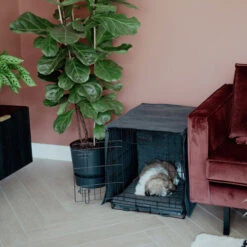 District 70 Crate Cover -Heimtierbedarf Geschäft district 70 crate cover 191152 0500 none