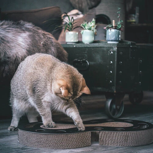 District 70 Snake 5 District 70 Snake – Bild 3