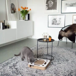 District 70 Spy -Heimtierbedarf Geschäft district 70 spy 133861 0500 none