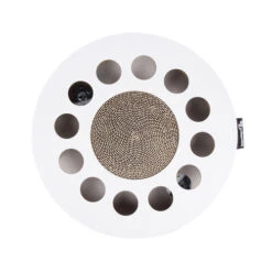 District 70 Whirl -Heimtierbedarf Geschäft district 70 whirl 133843 0500 none