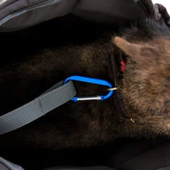 Doctor Bark Hundetragetasche -Heimtierbedarf Geschäft doctor bark honden draagtas 202157 0500 none